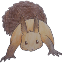 Scriurus vulgaris orientis's sticker #10270889