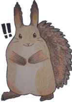 Scriurus vulgaris orientis's sticker #10270891