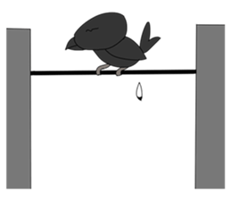 Animals: 5 Sets of 4 Kinds sticker #10271862