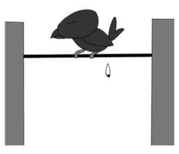 Animals: 5 Sets of 4 Kinds sticker #10271862