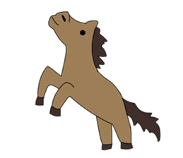 Animals: 5 Sets of 4 Kinds sticker #10271873