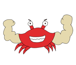 Animals: 5 Sets of 4 Kinds sticker #10271882