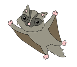 Animals: 5 Sets of 4 Kinds sticker #10271894