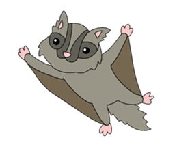 Animals: 5 Sets of 4 Kinds sticker #10271894