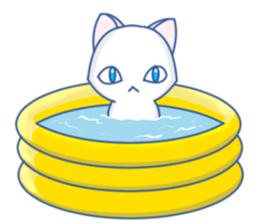 Summer White Cat(ENGLISH) sticker #10272100