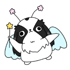 Japanese chin Mochio vol.2