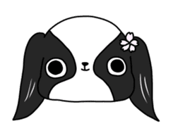 Japanese chin Mochio vol.2 sticker #10275581