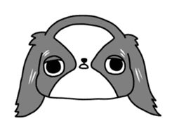 Japanese chin Mochio vol.2 sticker #10275587