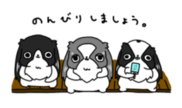 Japanese chin Mochio vol.2 sticker #10275614