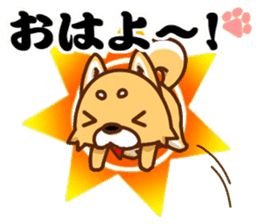 It is a Japanese midget Shiba around2 sticker #10276536