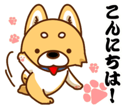 It is a Japanese midget Shiba around2 sticker #10276537