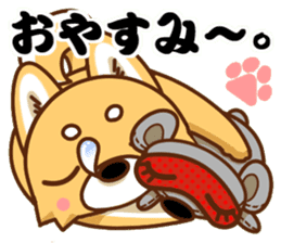 It is a Japanese midget Shiba around2 sticker #10276539