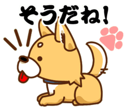 It is a Japanese midget Shiba around2 sticker #10276542