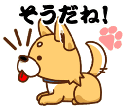 It is a Japanese midget Shiba around2 sticker #10276542