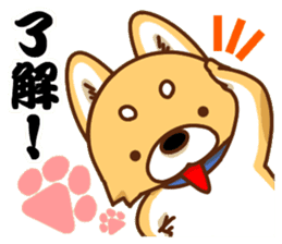 It is a Japanese midget Shiba around2 sticker #10276543