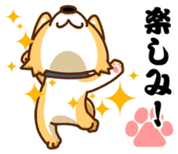 It is a Japanese midget Shiba around2 sticker #10276545