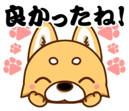 It is a Japanese midget Shiba around2 sticker #10276546