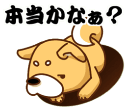 It is a Japanese midget Shiba around2 sticker #10276552