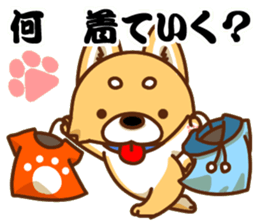 It is a Japanese midget Shiba around2 sticker #10276556