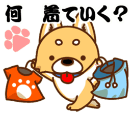 It is a Japanese midget Shiba around2 sticker #10276556