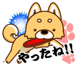 It is a Japanese midget Shiba around2 sticker #10276557