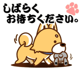 It is a Japanese midget Shiba around2 sticker #10276558