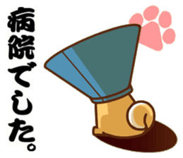 It is a Japanese midget Shiba around2 sticker #10276559