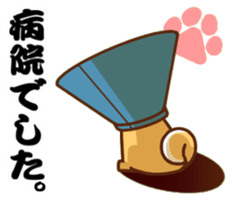 It is a Japanese midget Shiba around2 sticker #10276559