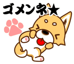 It is a Japanese midget Shiba around2 sticker #10276560