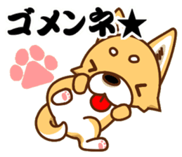 It is a Japanese midget Shiba around2 sticker #10276560