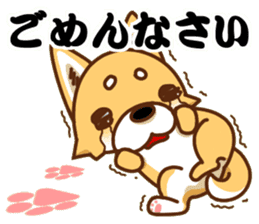 It is a Japanese midget Shiba around2 sticker #10276561