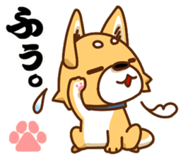 It is a Japanese midget Shiba around2 sticker #10276562