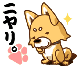 It is a Japanese midget Shiba around2 sticker #10276563