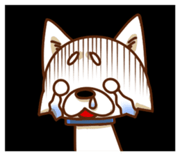 It is a Japanese midget Shiba around2 sticker #10276564