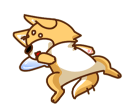 It is a Japanese midget Shiba around2 sticker #10276565