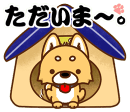 It is a Japanese midget Shiba around2 sticker #10276570