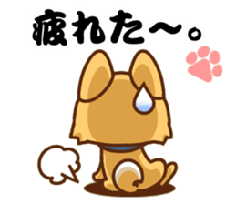 It is a Japanese midget Shiba around2 sticker #10276571