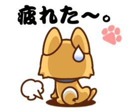 It is a Japanese midget Shiba around2 sticker #10276571