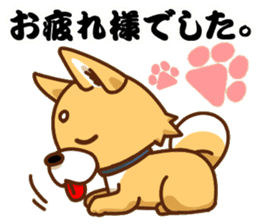 It is a Japanese midget Shiba around2 sticker #10276572