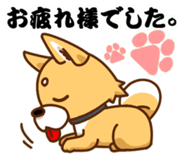 It is a Japanese midget Shiba around2 sticker #10276572