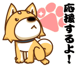 It is a Japanese midget Shiba around2 sticker #10276574