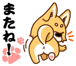 It is a Japanese midget Shiba around2 sticker #10276575