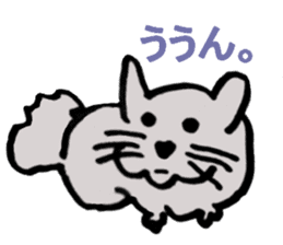 Chinchilla's short message sticker #10276737