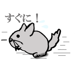 Chinchilla's short message sticker #10276746