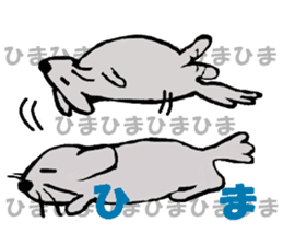 Chinchilla's short message sticker #10276758