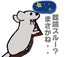 Chinchilla's short message sticker #10276760