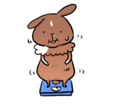 Potter Rabbit 3 sticker #10277329