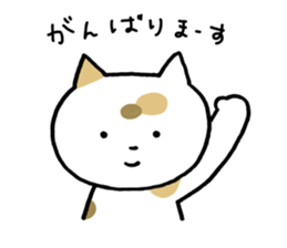 Tortoiseshell cat today sticker #10278065