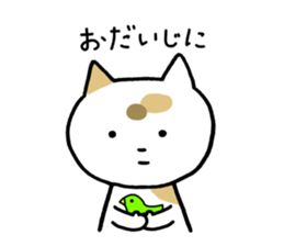 Tortoiseshell cat today sticker #10278067