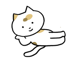 Tortoiseshell cat today sticker #10278079